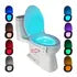 ToiletGlow™